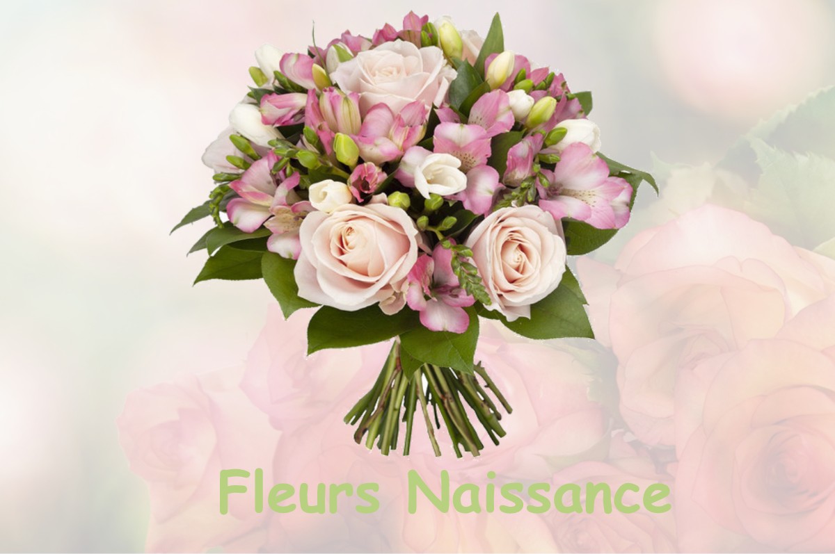 fleurs naissance TROISSY