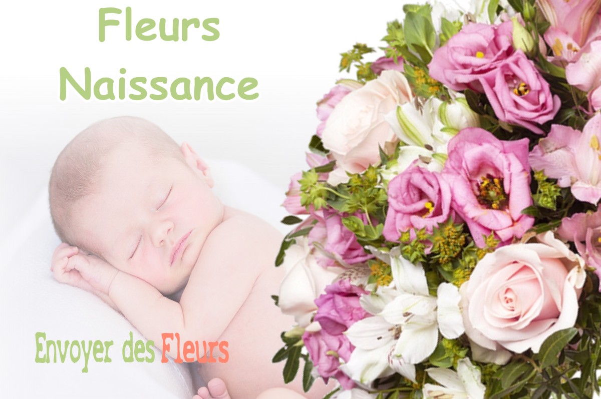 lIVRAISON FLEURS NAISSANCE à TROISSY